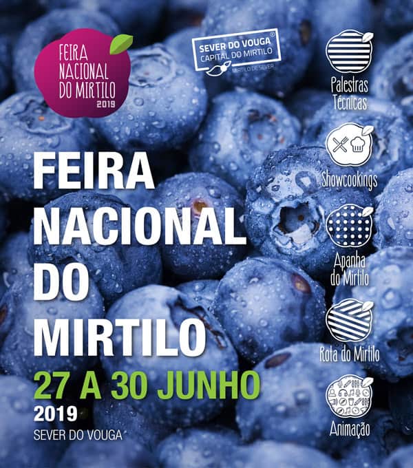 mirtilo